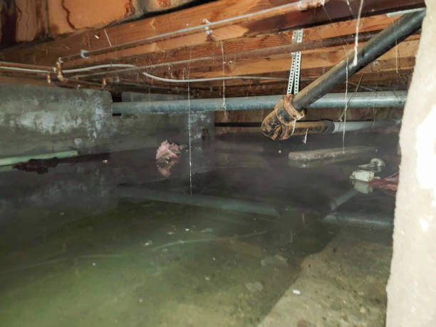 Best Flooded house restoration  in Magalia, CA