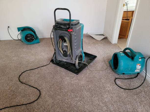 Best Local water damage restoration  in Magalia, CA