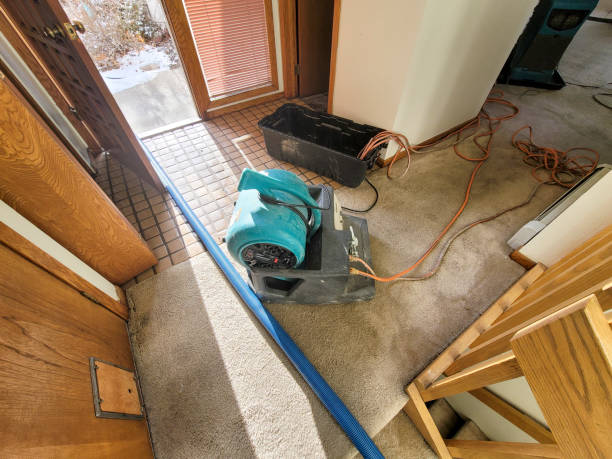 Best Sewage cleanup and water damage restoration  in Magalia, CA