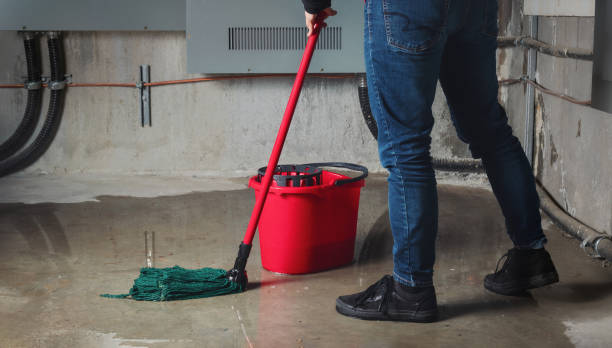  Magalia, CA Water damage restoration Pros
