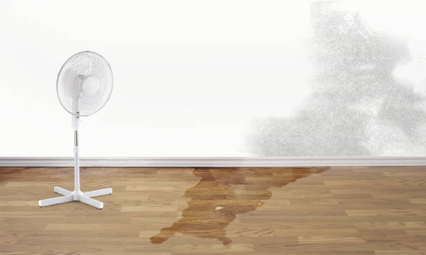 Best Water damage contractors near me  in Magalia, CA
