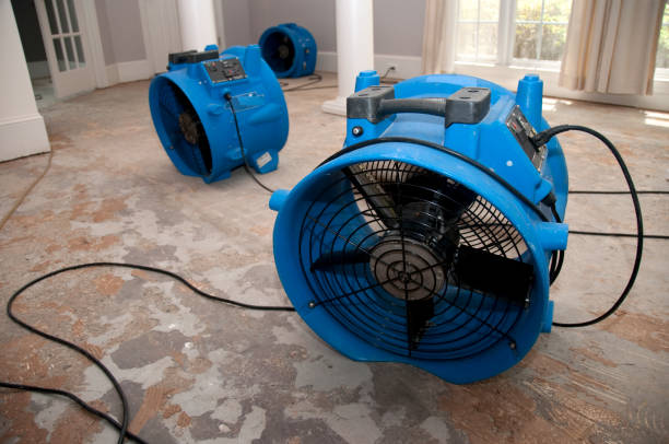 Best Water damage contractors near me  in Magalia, CA