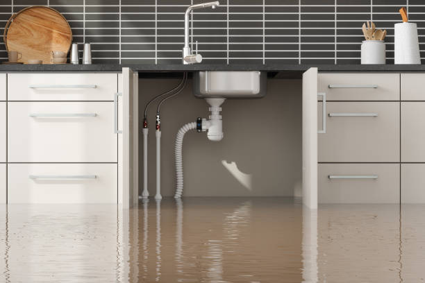 Best Sewage cleanup and water damage restoration  in Magalia, CA